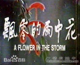 高清江明(JiangMing)性感图片