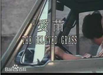 高清江明(JiangMing)性感图片