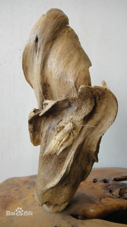 陈志华(chenzhihua)主要作品素颜照相册