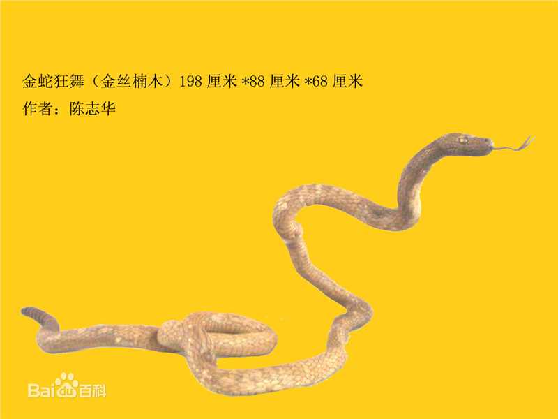 陈志华(chenzhihua)主要作品生活照