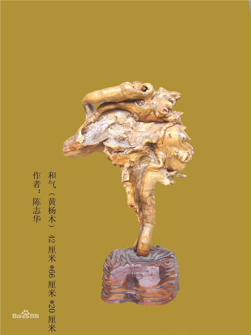 陈志华(chenzhihua)主要作品生活照