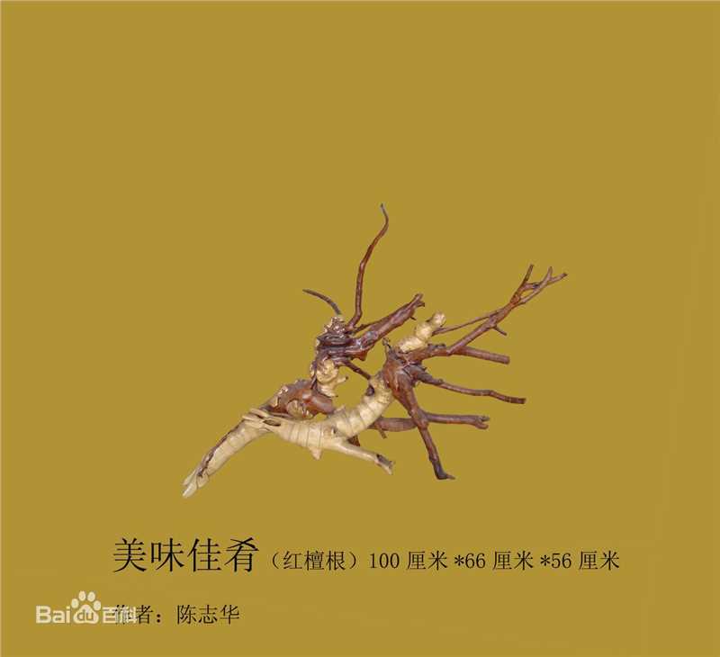 陈志华(chenzhihua)主要作品生活照