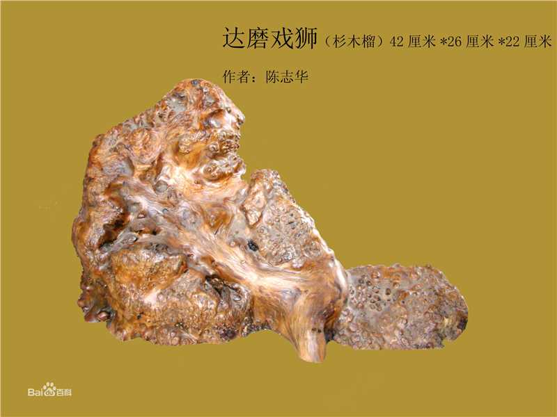 陈志华(chenzhihua)主要作品生活照