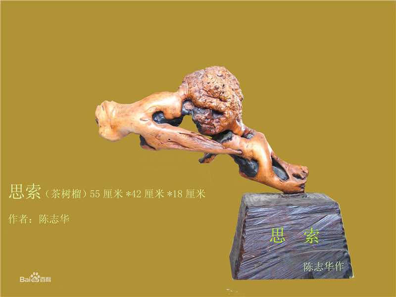 陈志华(chenzhihua)主要作品生活照