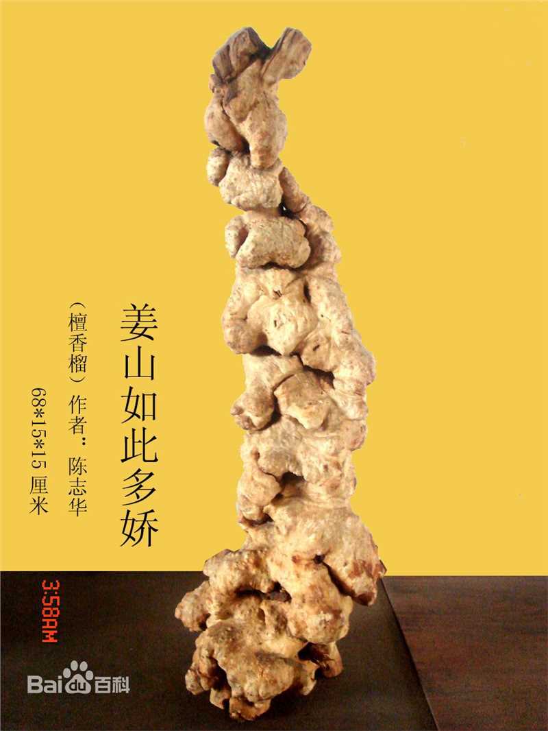 陈志华(chenzhihua)主要作品生活照