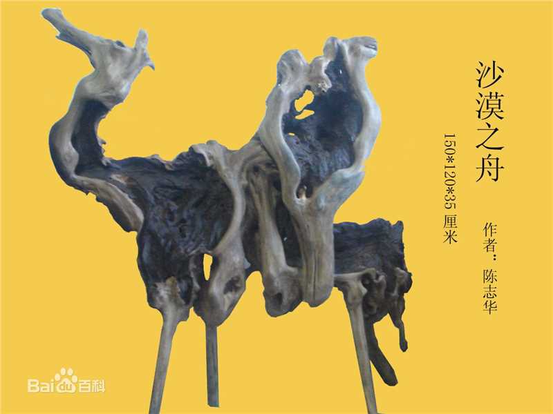 陈志华(chenzhihua)主要作品生活照