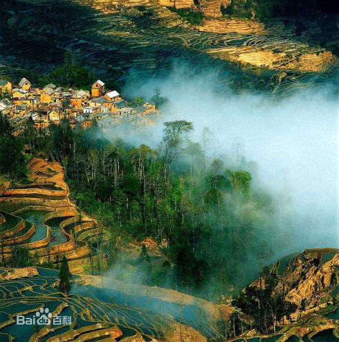 最新刘艺性感图片