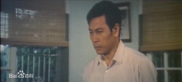 胡奇 饰康南图册