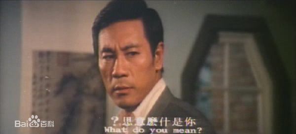 胡奇 饰康南图册