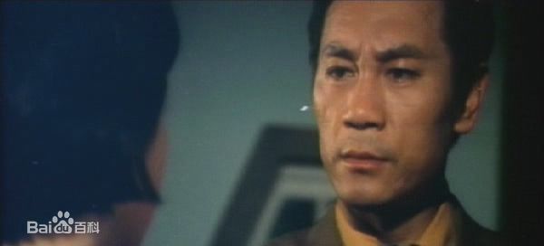 胡奇 饰康南图册