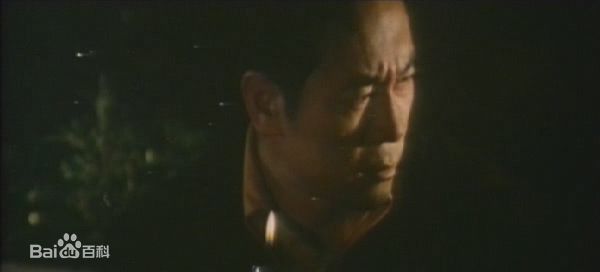 胡奇 饰康南图册