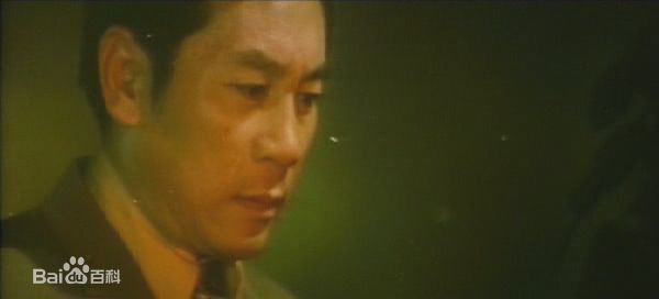 胡奇 饰康南图册