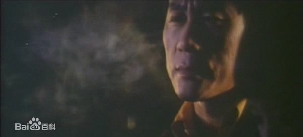 胡奇 饰康南图册