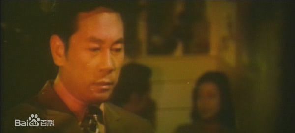 胡奇 饰康南图册