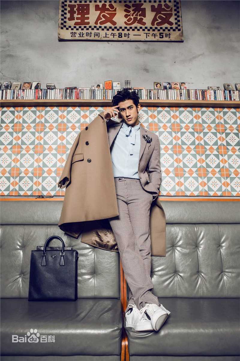 李治廷(Aarif Lee/Rahman（名）)2015圣诞新年主题大片图册