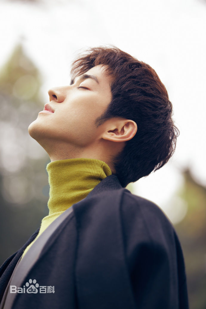 李治廷(Aarif Lee/Rahman（名）)2015圣诞新年主题大片图册