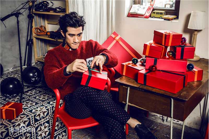 李治廷(Aarif Lee/Rahman（名）)2015圣诞新年主题大片图册