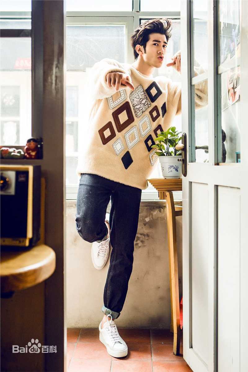 李治廷(Aarif Lee/Rahman（名）)2015圣诞新年主题大片图册