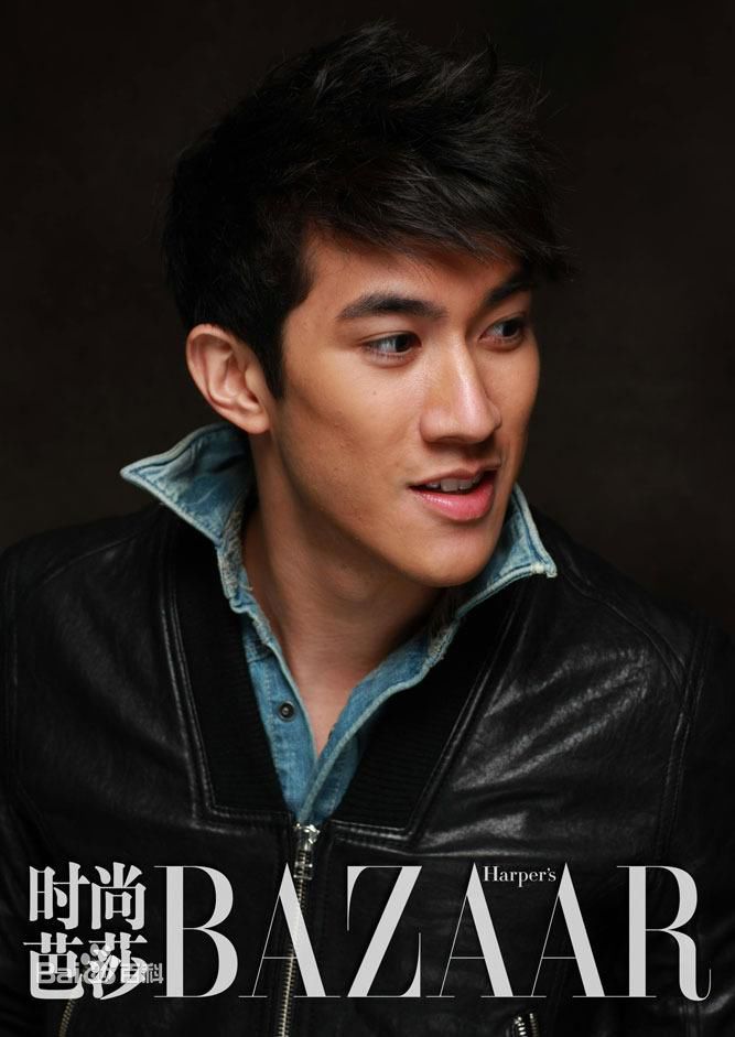 最优质李治廷(Aarif Lee/Rahman（名）)精彩图册