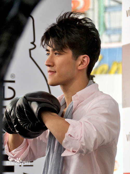 最优质李治廷(Aarif Lee/Rahman（名）)精彩图册