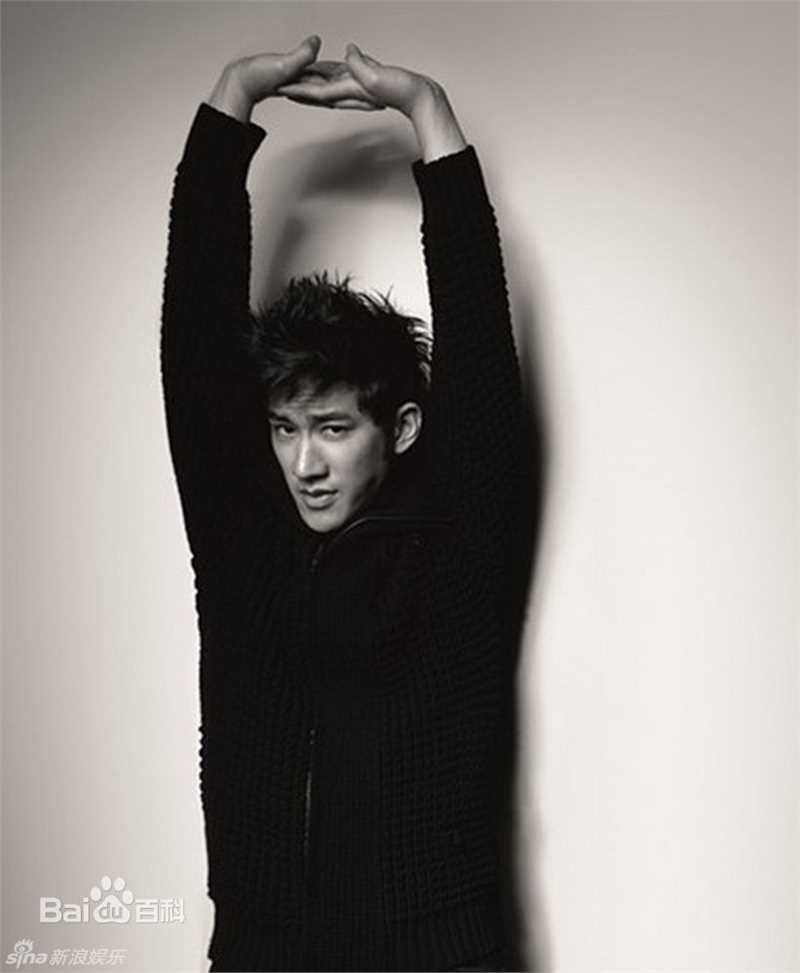 高清李治廷(Aarif Lee/Rahman（名）)精彩图册