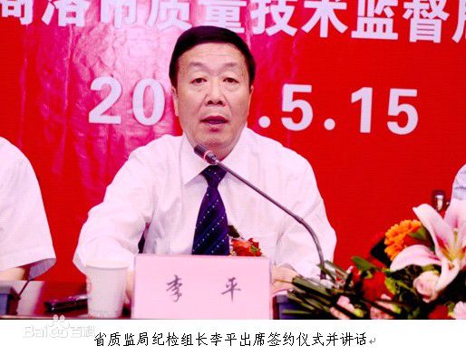 李平新闻图片图册