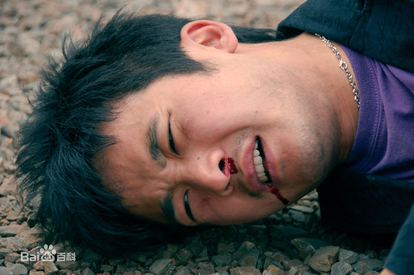 何澜导演工作及获奖照图册