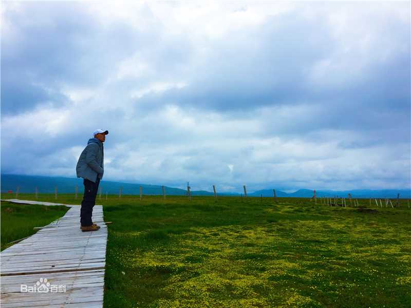 杨竞泽(Jingze Yang)个人工作照生活照相册