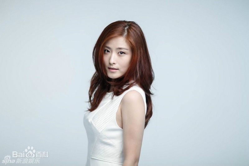 徐百慧(Xu Baihui)精选徐百卉图册