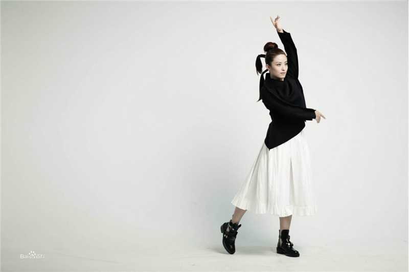 徐百慧(Xu Baihui)精选徐百卉图册