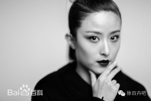 徐百慧(Xu Baihui)精选徐百卉图册