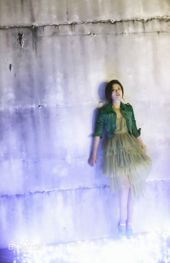 徐百慧(Xu Baihui)精选徐百卉图册