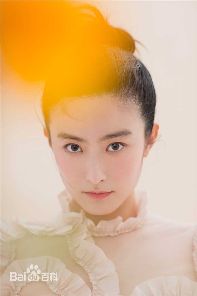 徐百慧(Xu Baihui)精选徐百卉图册