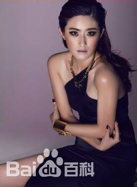 徐百慧(Xu Baihui)精选徐百卉图册