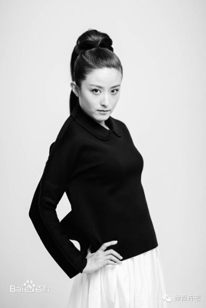 徐百慧(Xu Baihui)精选徐百卉图册