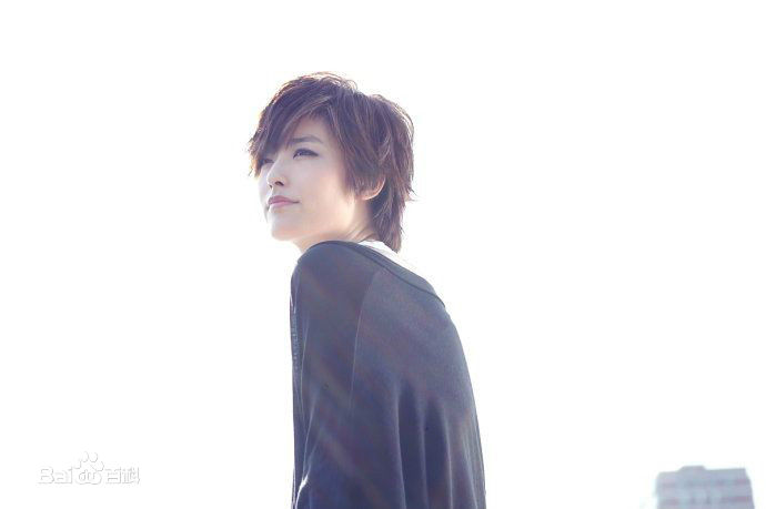 徐百慧(Xu Baihui)精选徐百卉图册