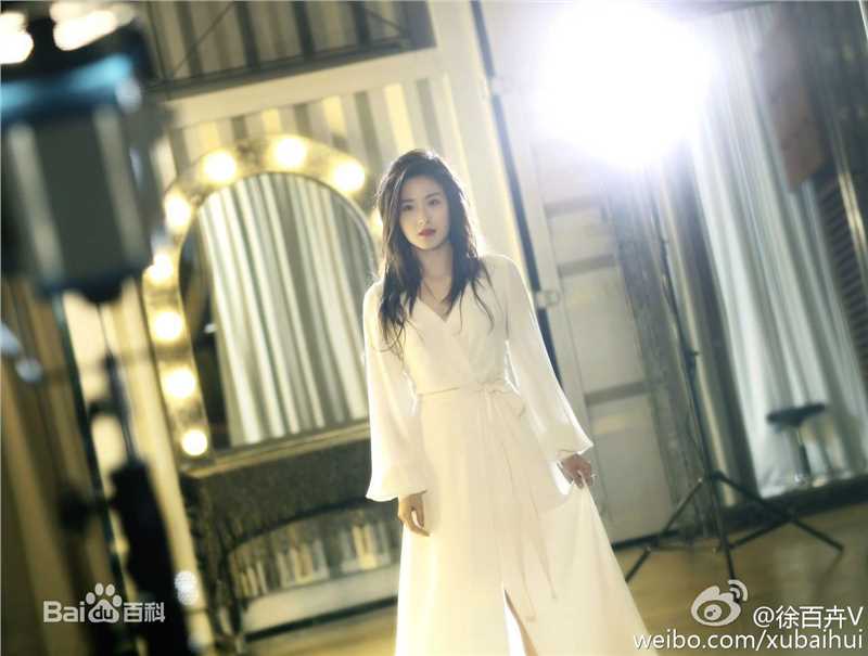 徐百慧(Xu Baihui)精选徐百卉图册