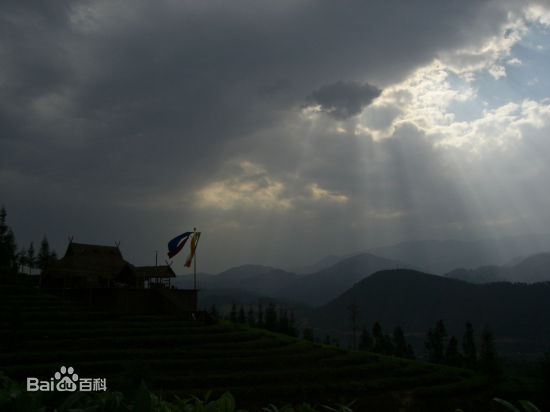 卫列工作照素颜照相册