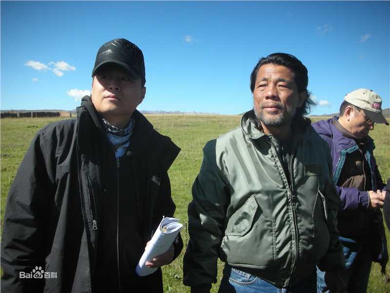 王鹤钧工作性感图片图集