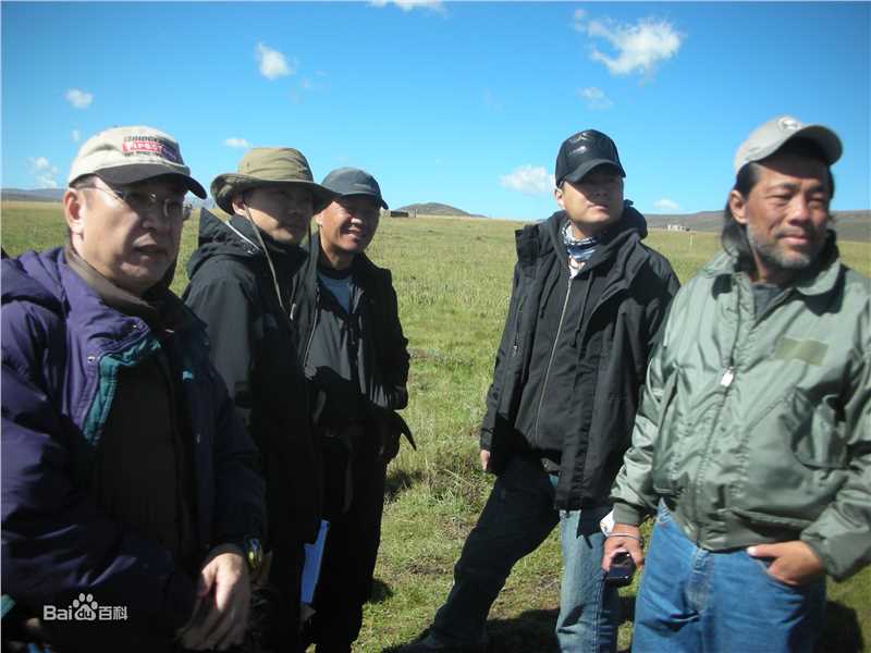 王鹤钧工作性感图片图集