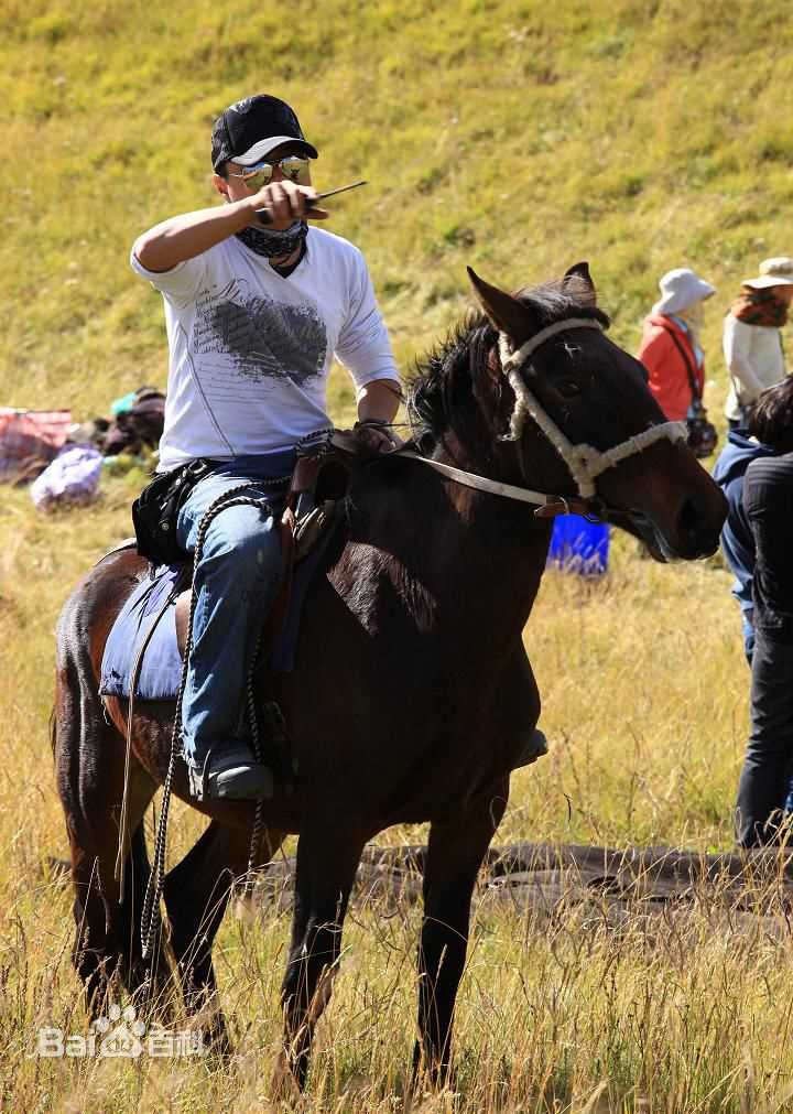 王鹤钧工作生活照相册