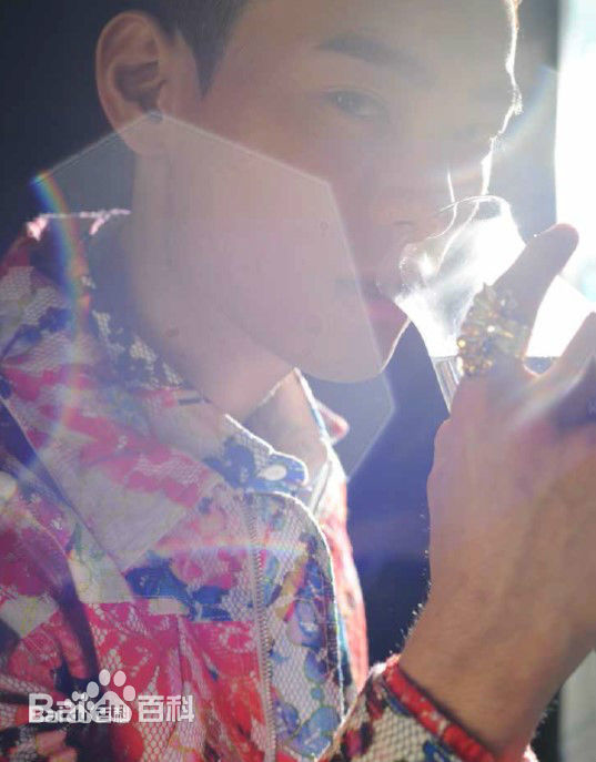 精选何浩文(Dominic Ho)