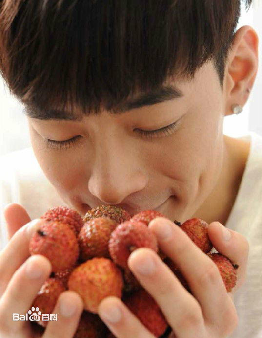 精选何浩文(Dominic Ho)