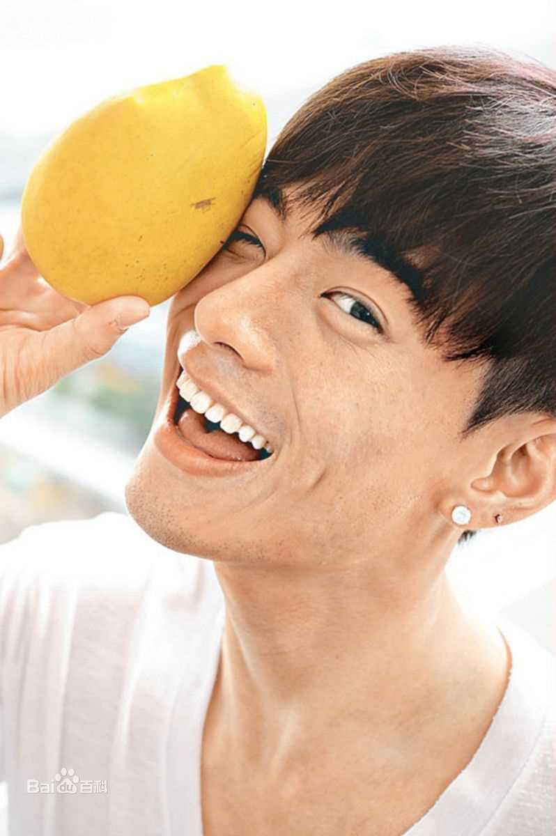 精选何浩文(Dominic Ho)