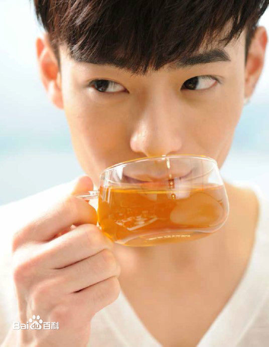 精选何浩文(Dominic Ho)