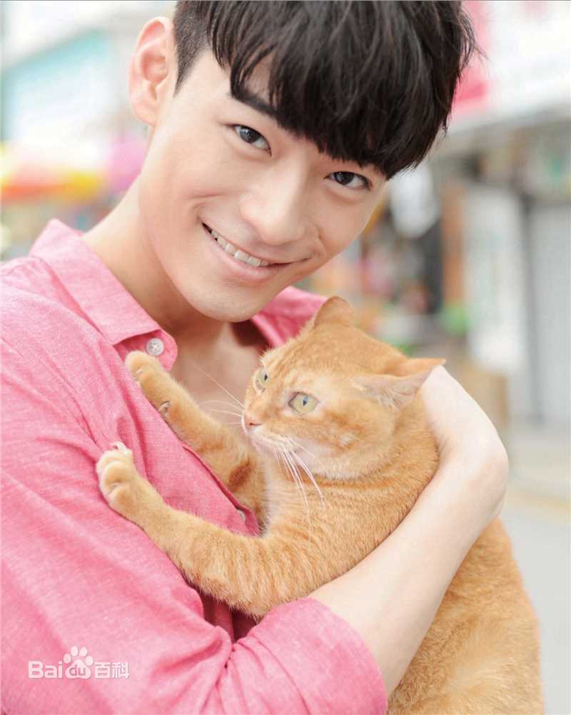 精选何浩文(Dominic Ho)