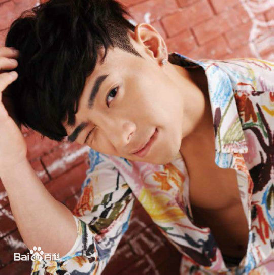 精选何浩文(Dominic Ho)