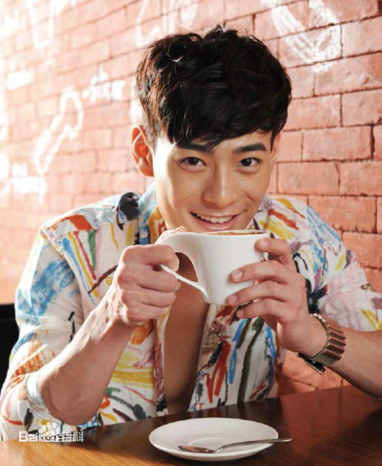 精选何浩文(Dominic Ho)