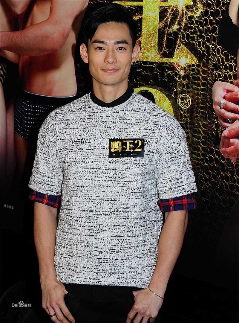 最新何浩文(Dominic Ho)在《鸭王》饰 阿锋中的壁纸