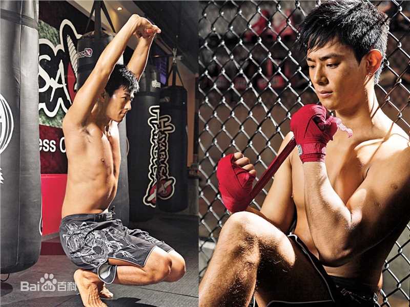 何浩文(Dominic Ho)高清图集